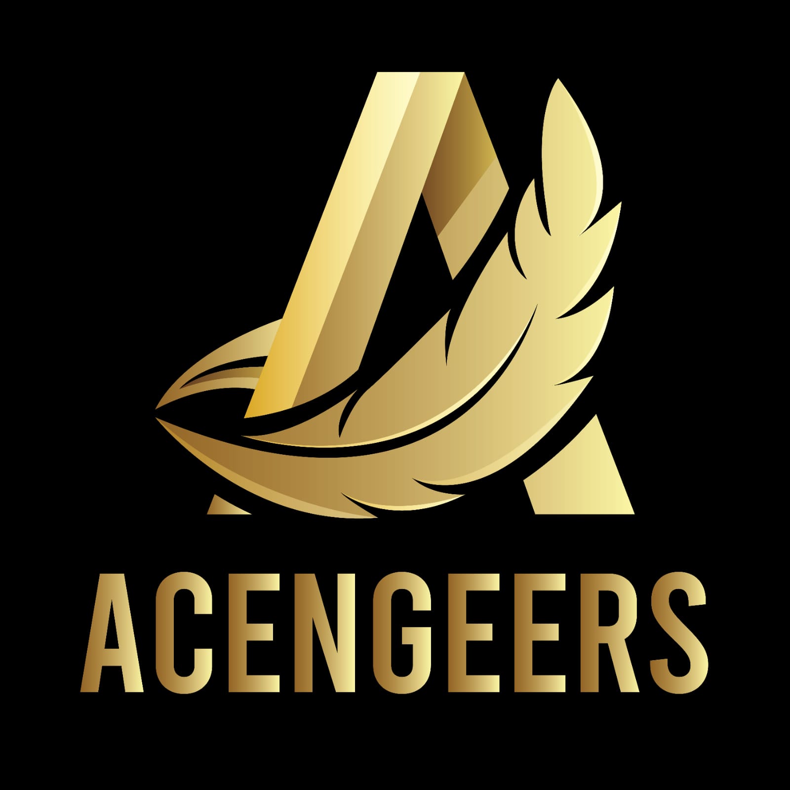 Acengeers Inc.
