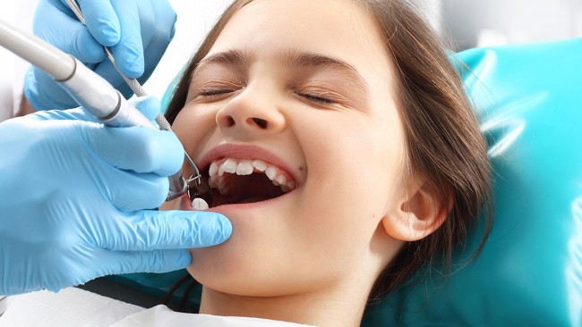 Dr. Smitha Manoj – Polaris Dental