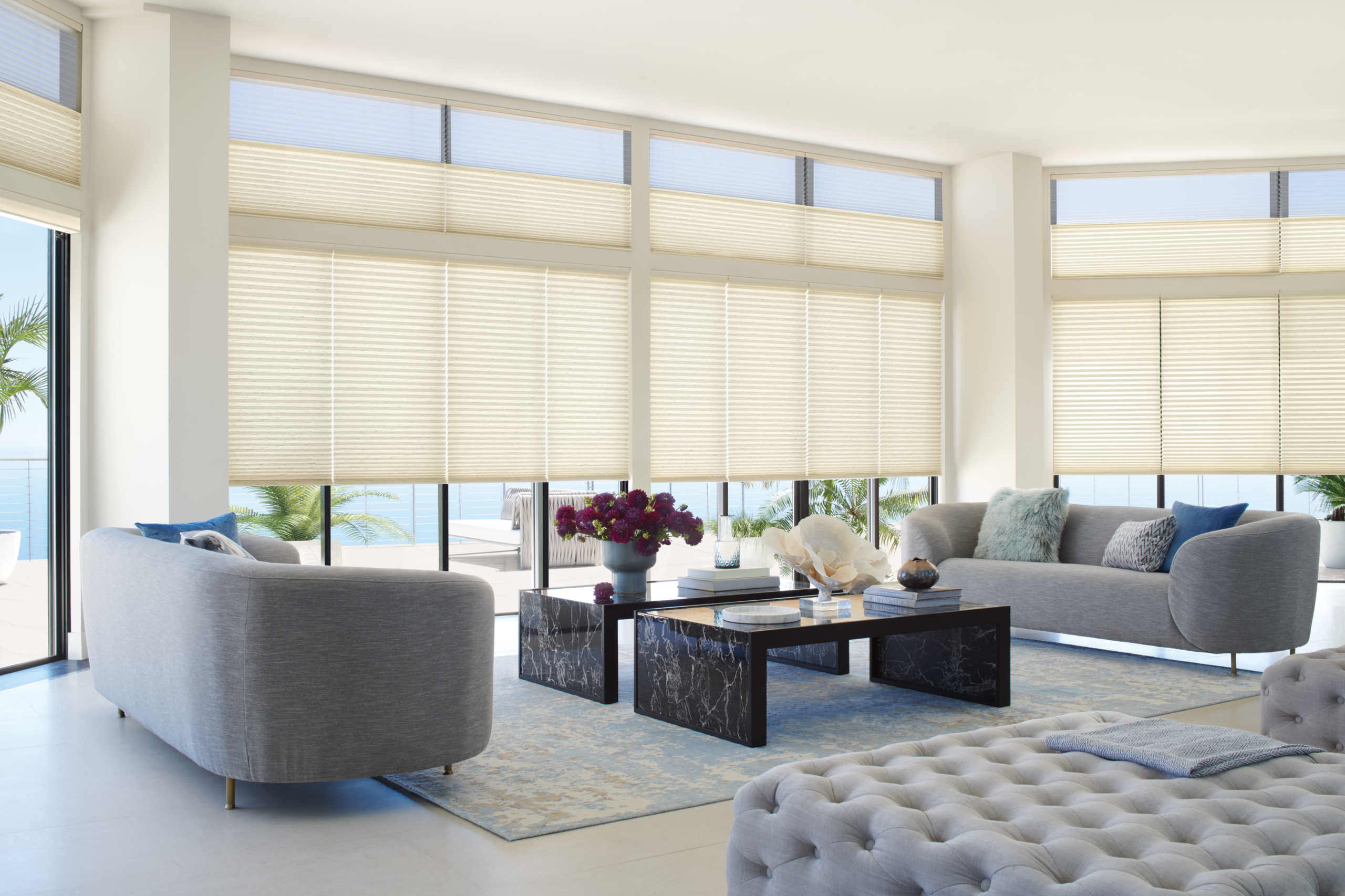 Window Blinds & Shades